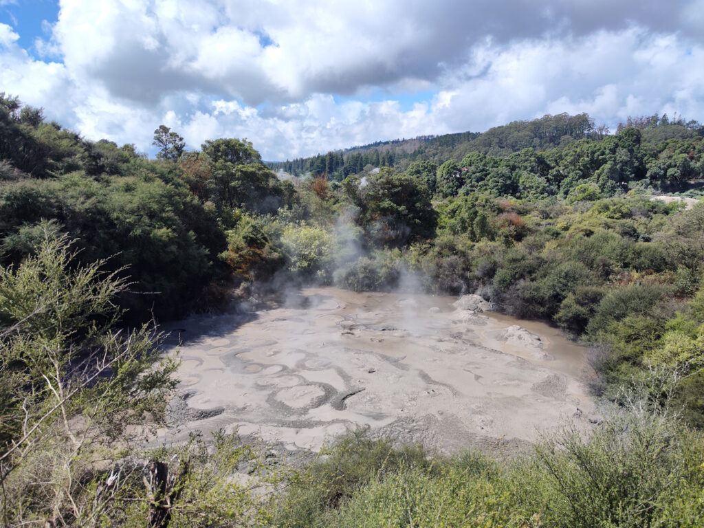 Piscina de lodo en Te Puia