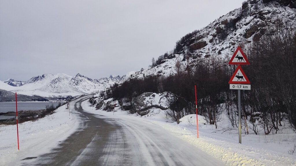 Conducción invernal en Noruega