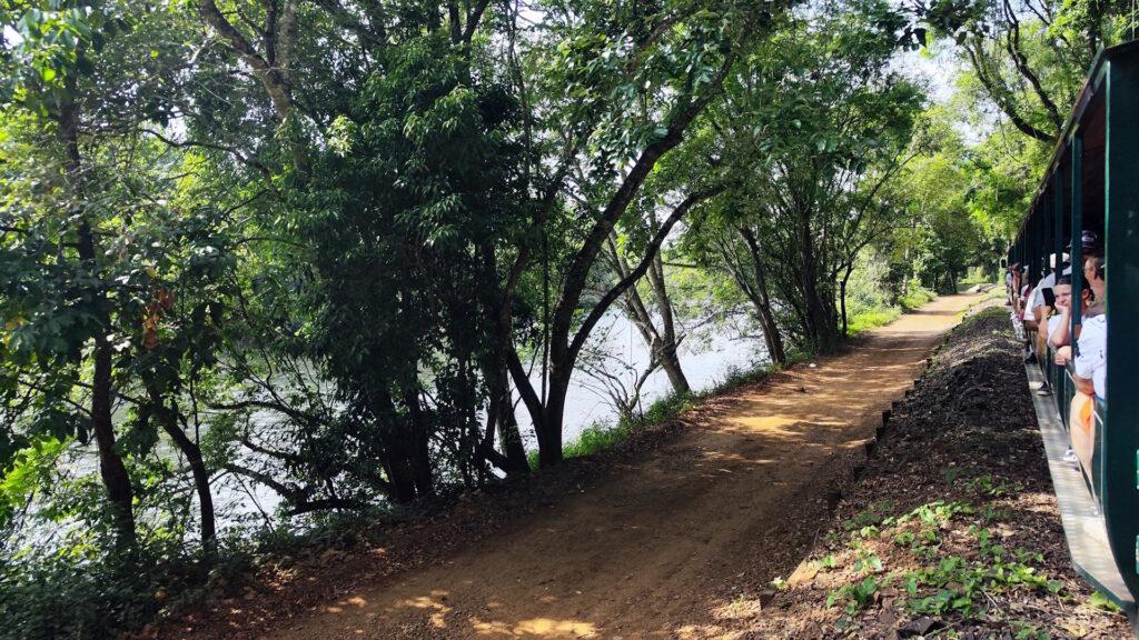 Tren Ecológico de la Selva